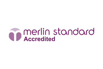 Merlin standard logo