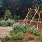 An image of a garden